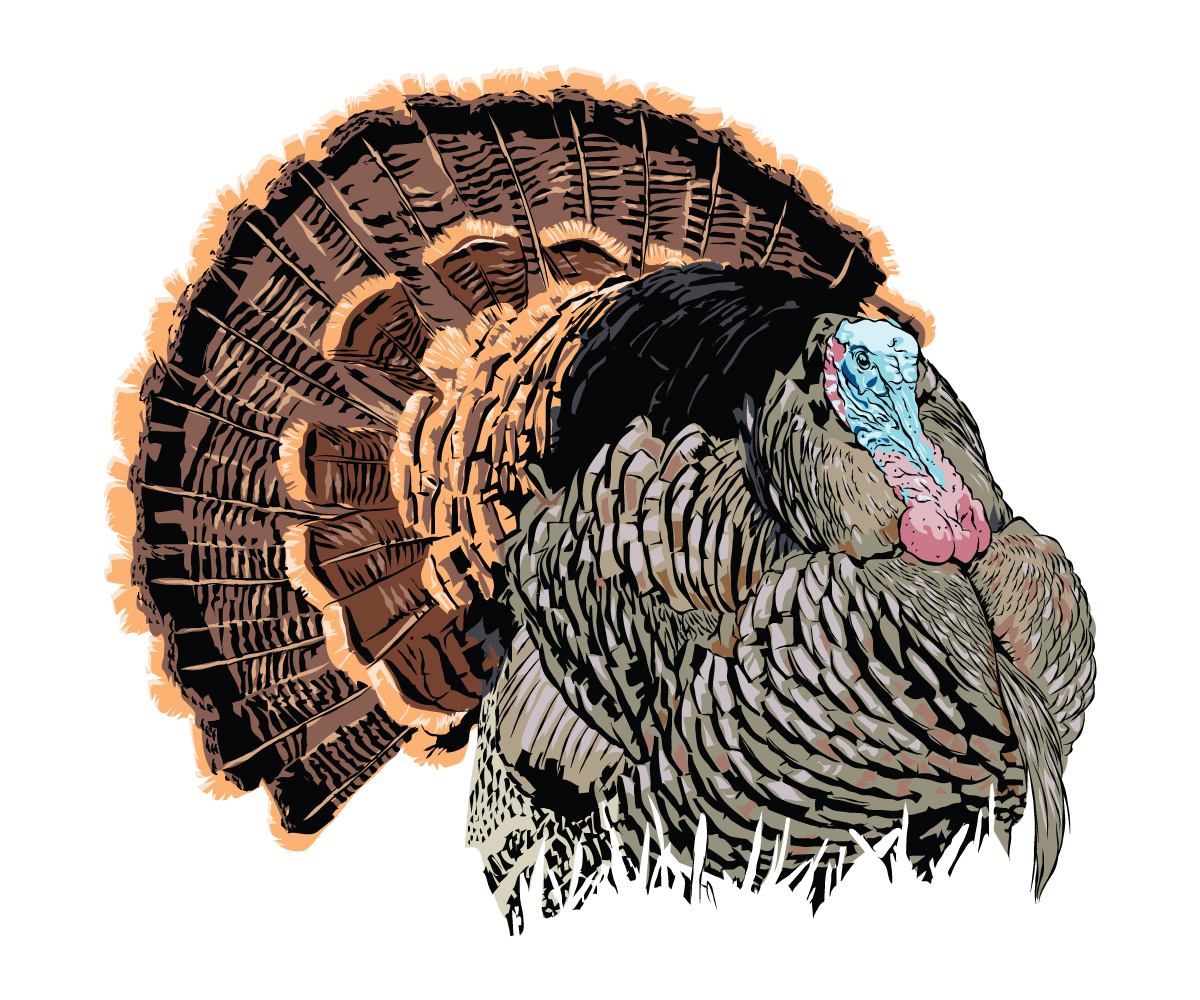 Grafik-Design von Baraka Joe für Bass, Bucks, And Birds | Design #31408811