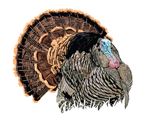 Design Graphique par Baraka Joe pour Bass, Bucks, And Birds | Design #31408811