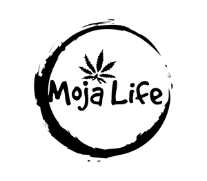 Logo Design by Nova_Create