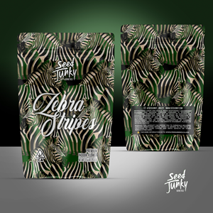 Graphic Design by Jose Lopez ( Verified Pro Designer )