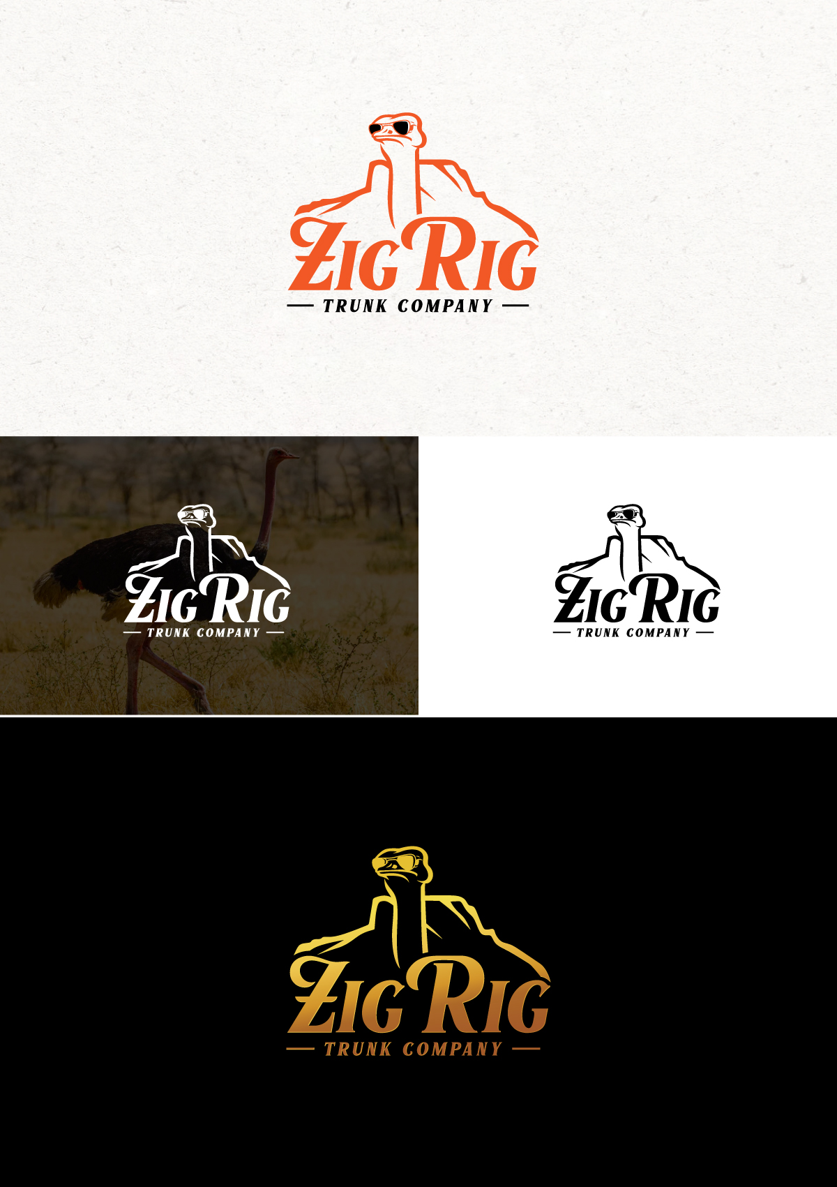 Logo Design by Logo Stock for Zig Rigs, LLC. | Design #31397755