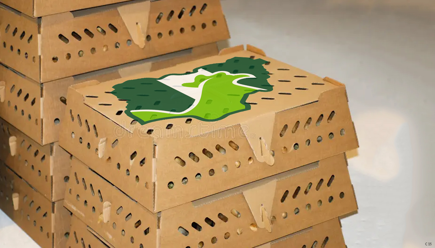 Packaging Design by pb for this project | Design #31419951
