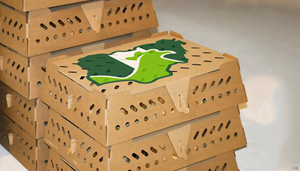 Packaging Design by pb for this project | Design: #31419951