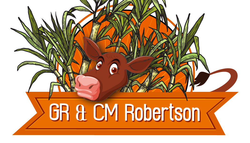 Logo Design by WholeBranding® for this project | Design #31504309