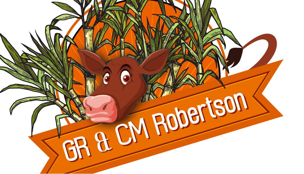 Logo Design by WholeBranding® for this project | Design #31504311
