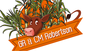 Logo Design by WholeBranding® for this project | Design: #31504311