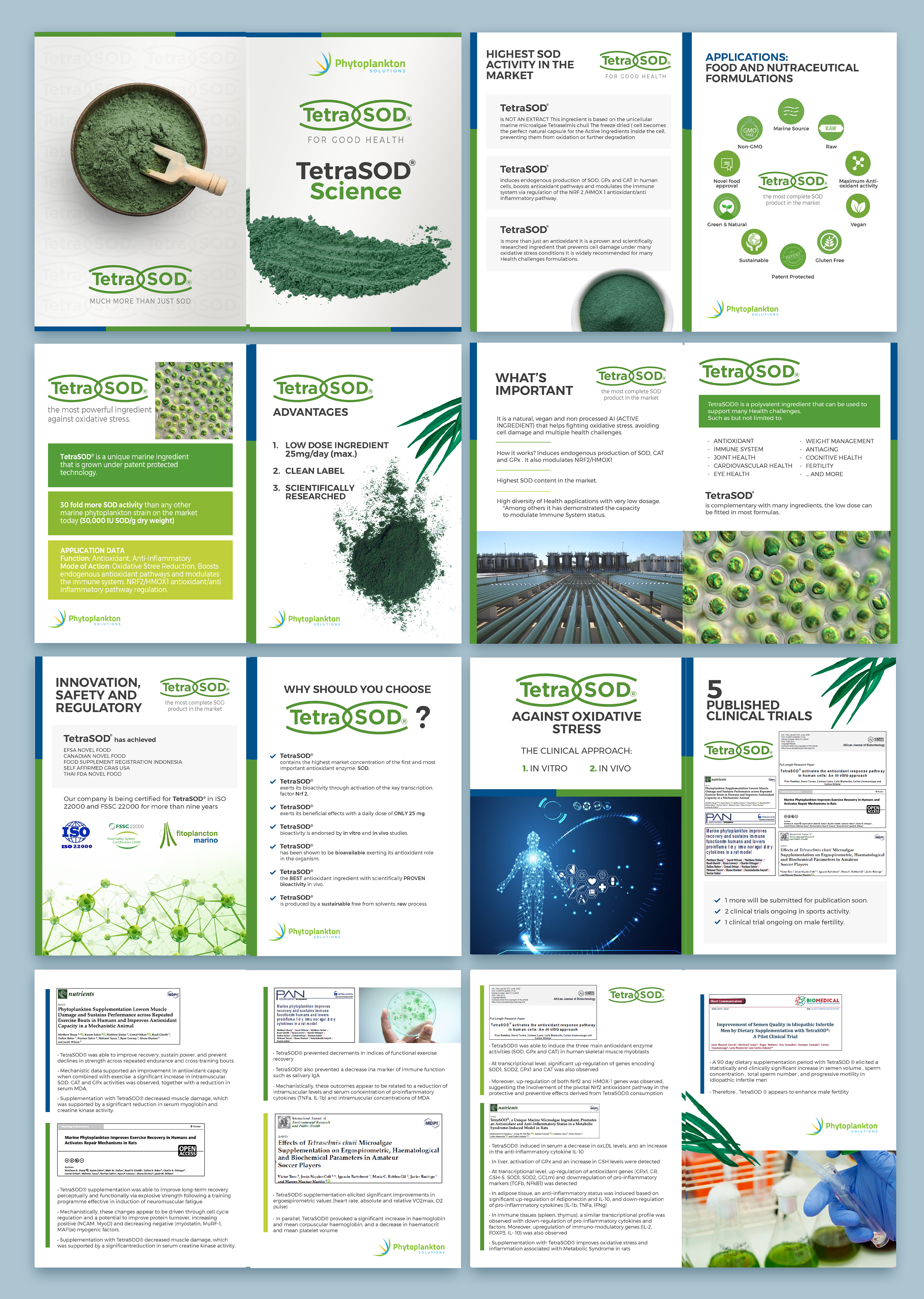 Print-Design von Graphic Guy für dieses Projekt | Design #31447514