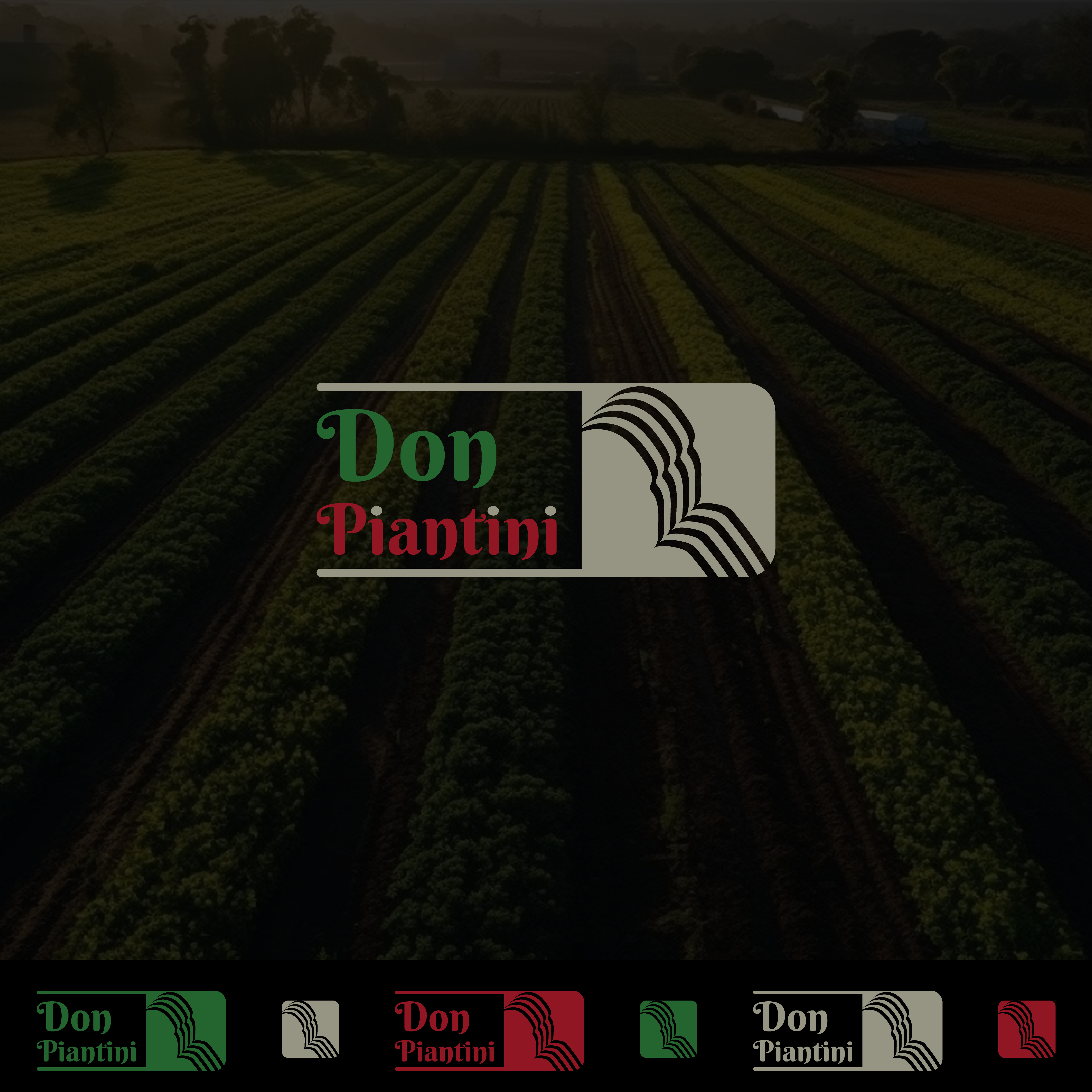 Logo Design by SA Raza008 for Wpdistributor | Design #31455529