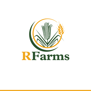 Diseño de Logo por Krold IT Solutions para este proyecto | Diseño #31437869