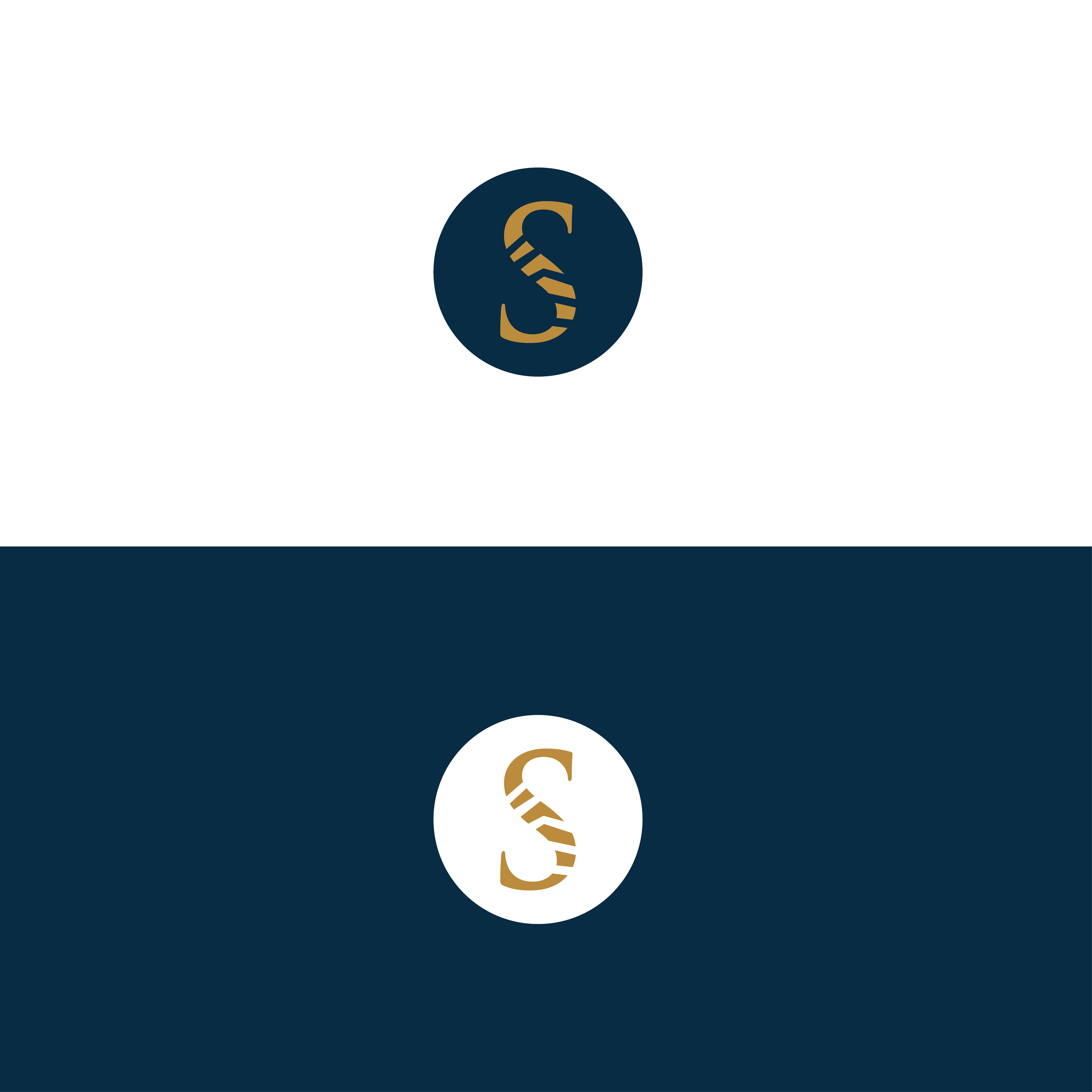 Diseño de Logo por coloratura para este proyecto | Diseño #31408980