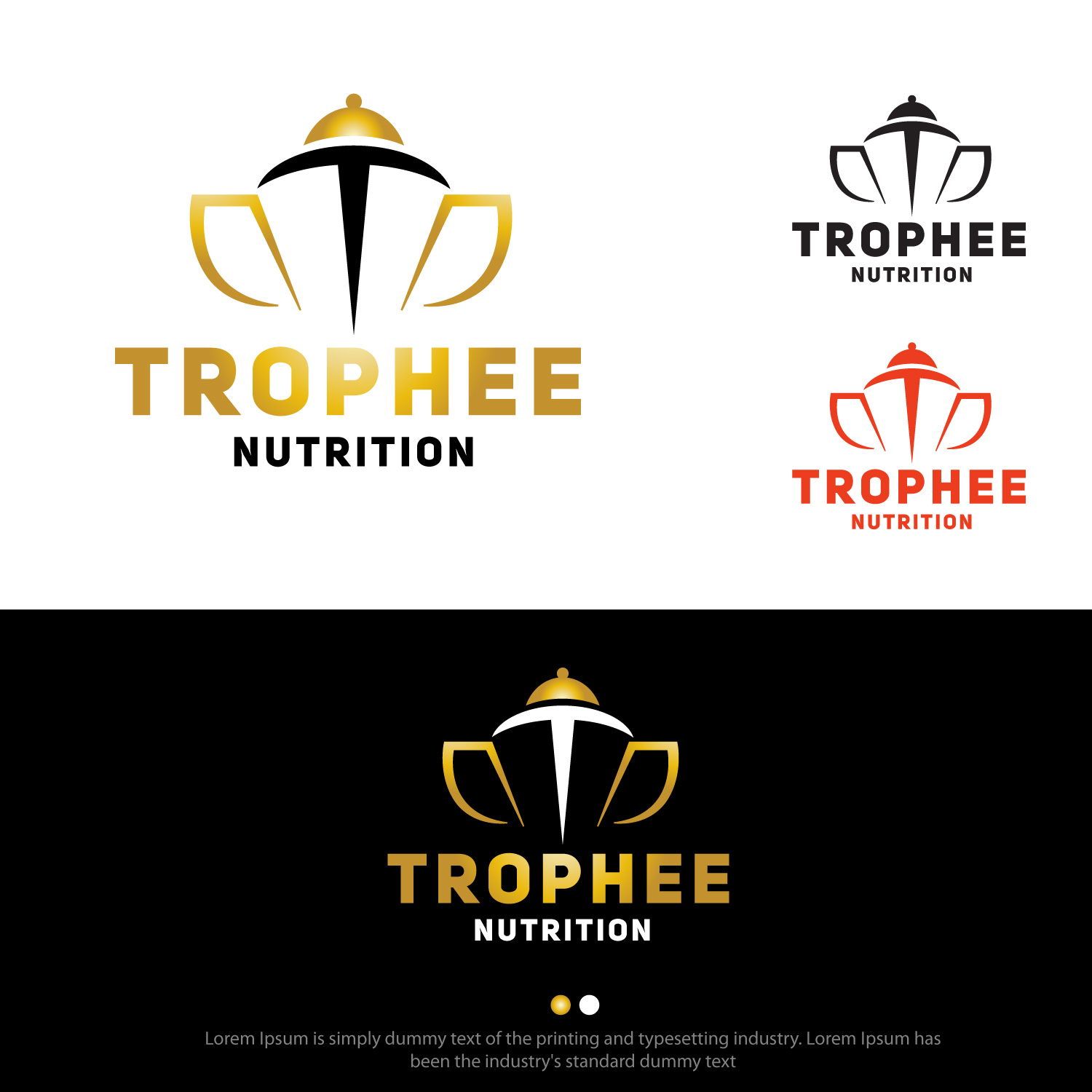 Logo Design by ePeakpro Solutions for Dustin Smith Digital Imagery | Design #31415040