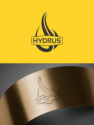 Logo Design by VisionGraphics113