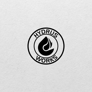 Logo Design by Ansh Design for this project | Design: #31424569