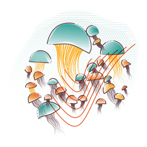 Diseño Gráfico por Marc Ray para este proyecto | Diseño: #31436176