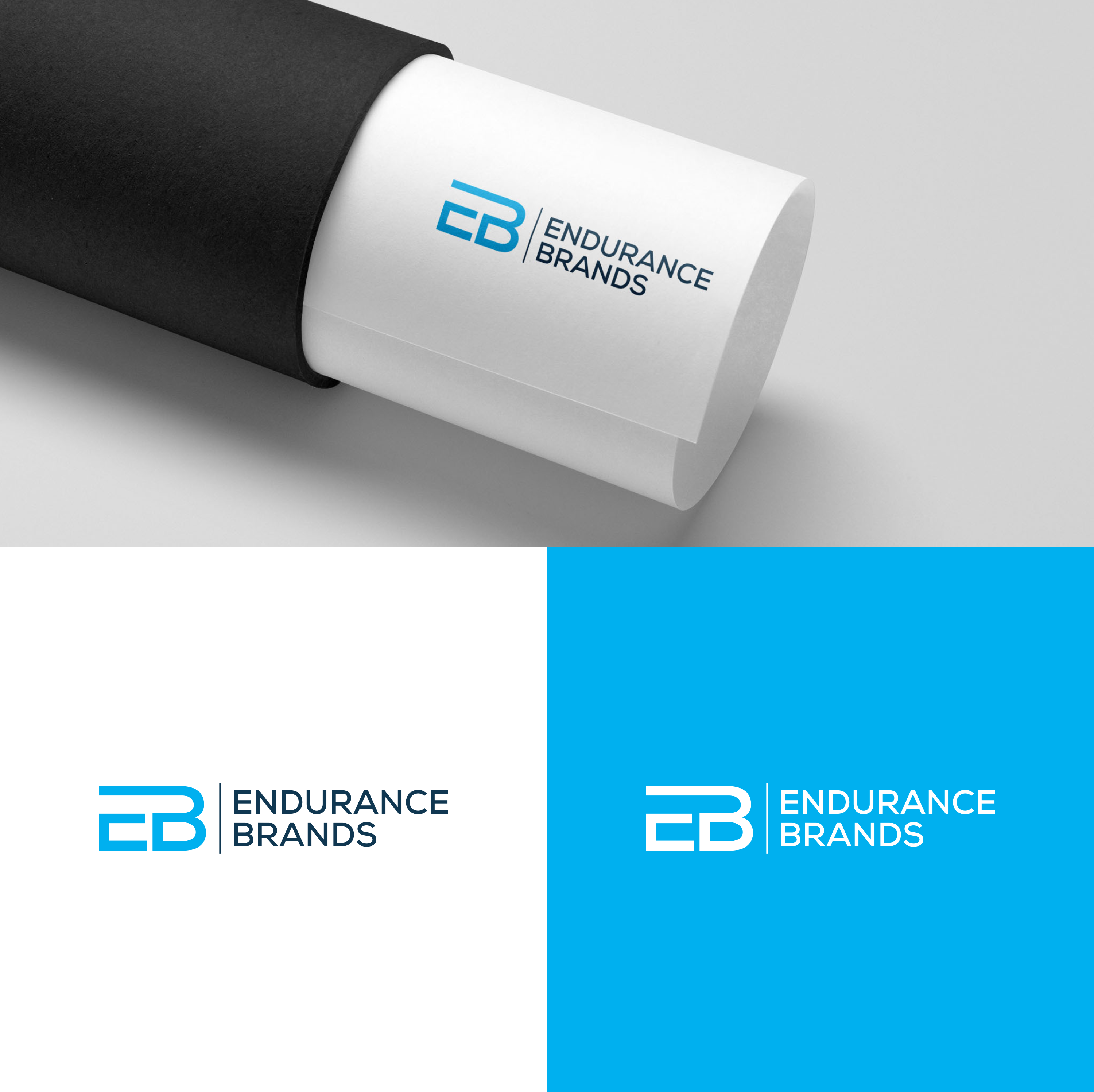 Diseño de Logo por Dylan Z.R para este proyecto | Diseño #31425355