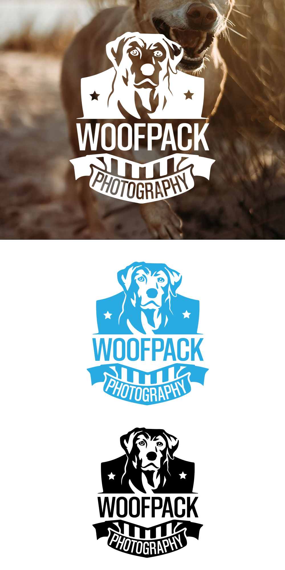 Logo Design by DesignNXT for this project | Design #31423679
