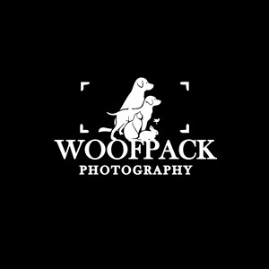 Logo Design by BOLBOL 2
