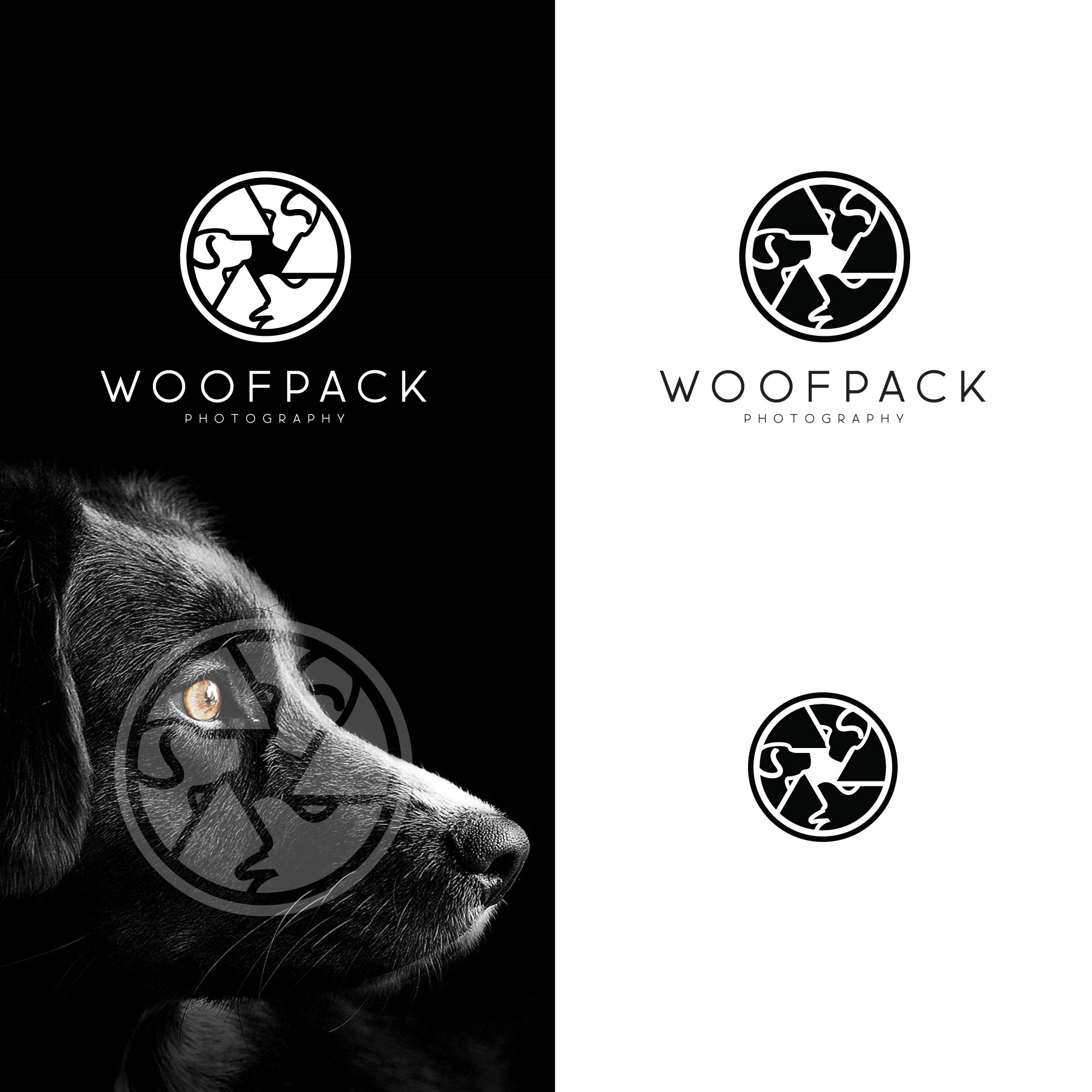 Logo Design by tboydesigns for this project | Design #31424927