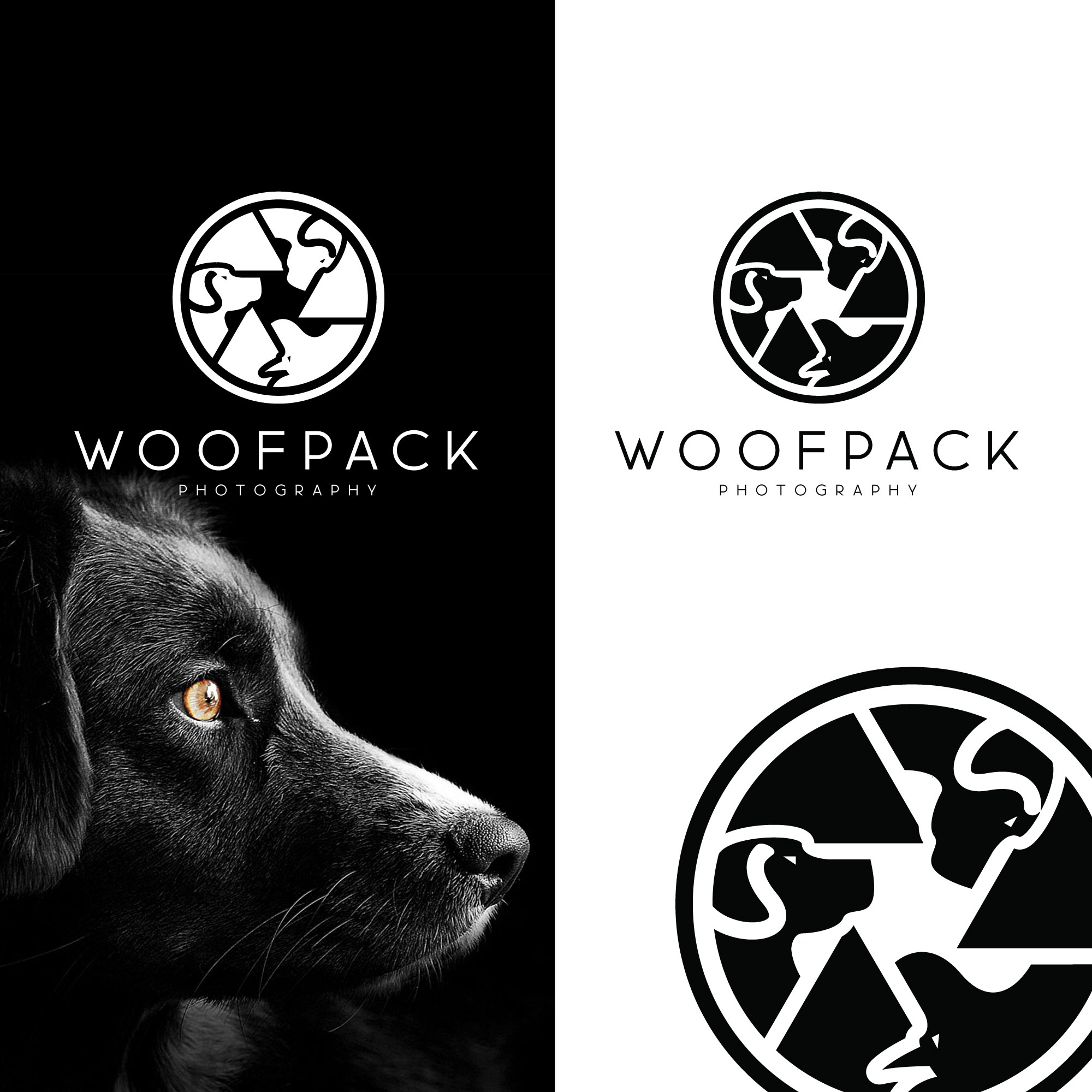 Logo Design by tboydesigns for this project | Design #31425061