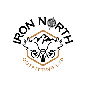 Logo Design by artheirz