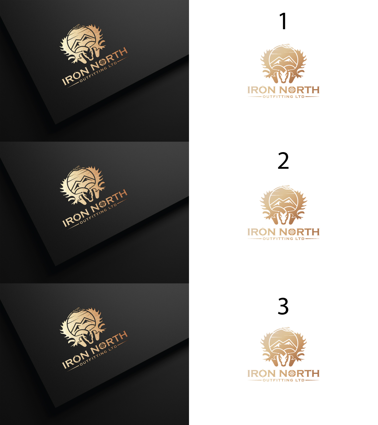 Logo Design by Visionarydexiner for this project | Design #31471338