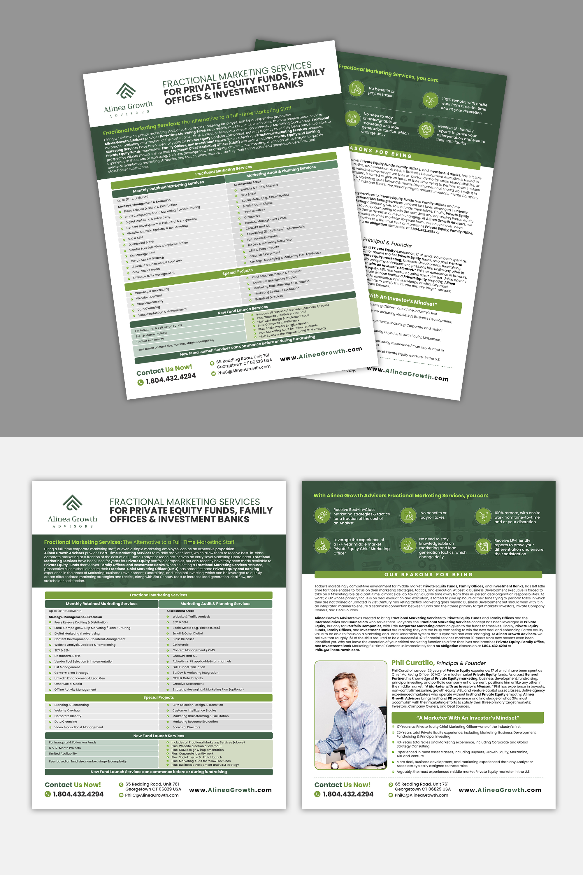 Design de Flyer par debdesign pour Alinea Growth, LLC | Design #31442265