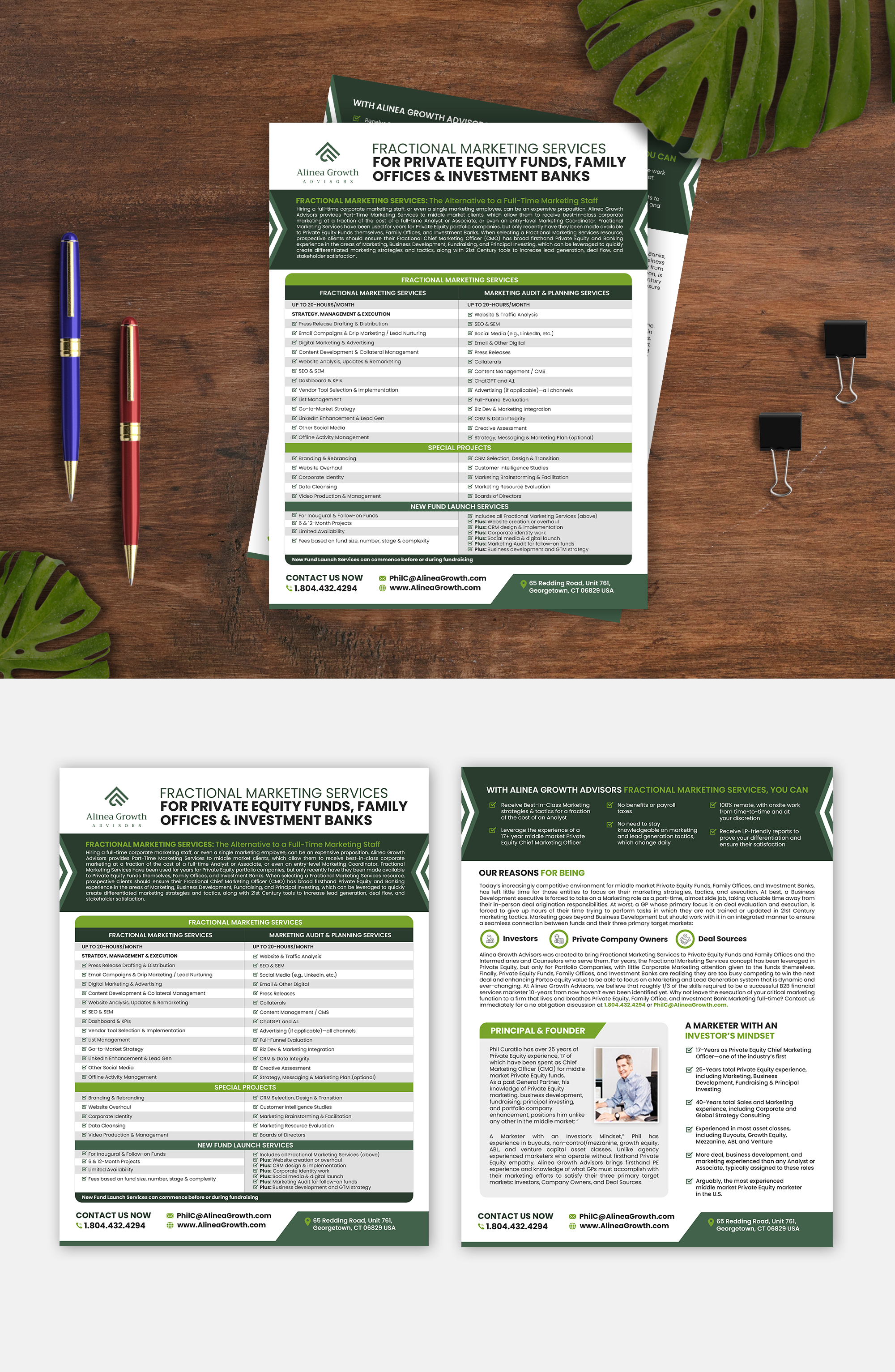 Design de Flyer par debdesign pour Alinea Growth, LLC | Design #31445076