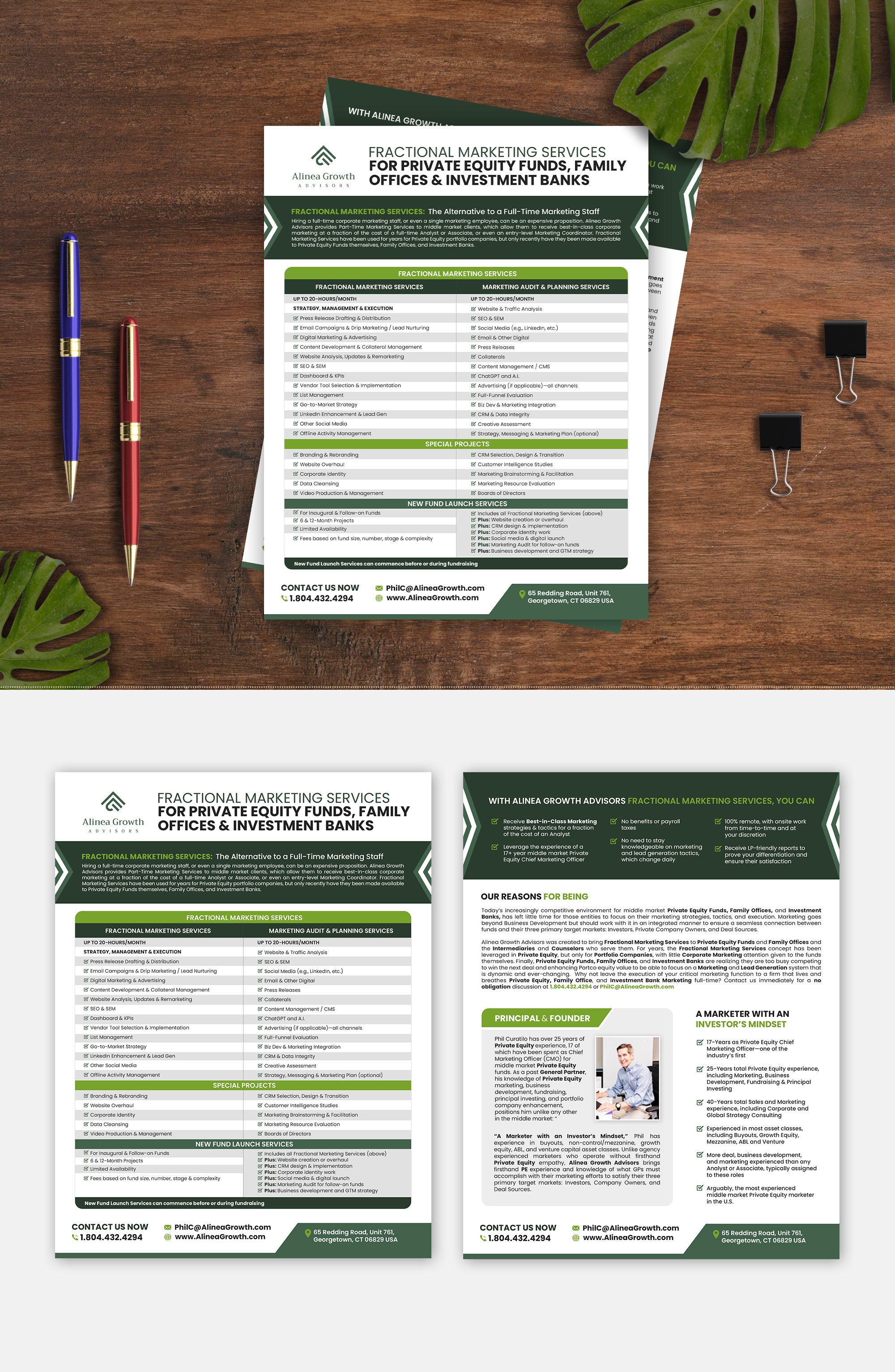 Design de Flyer par debdesign pour Alinea Growth, LLC | Design #31449635