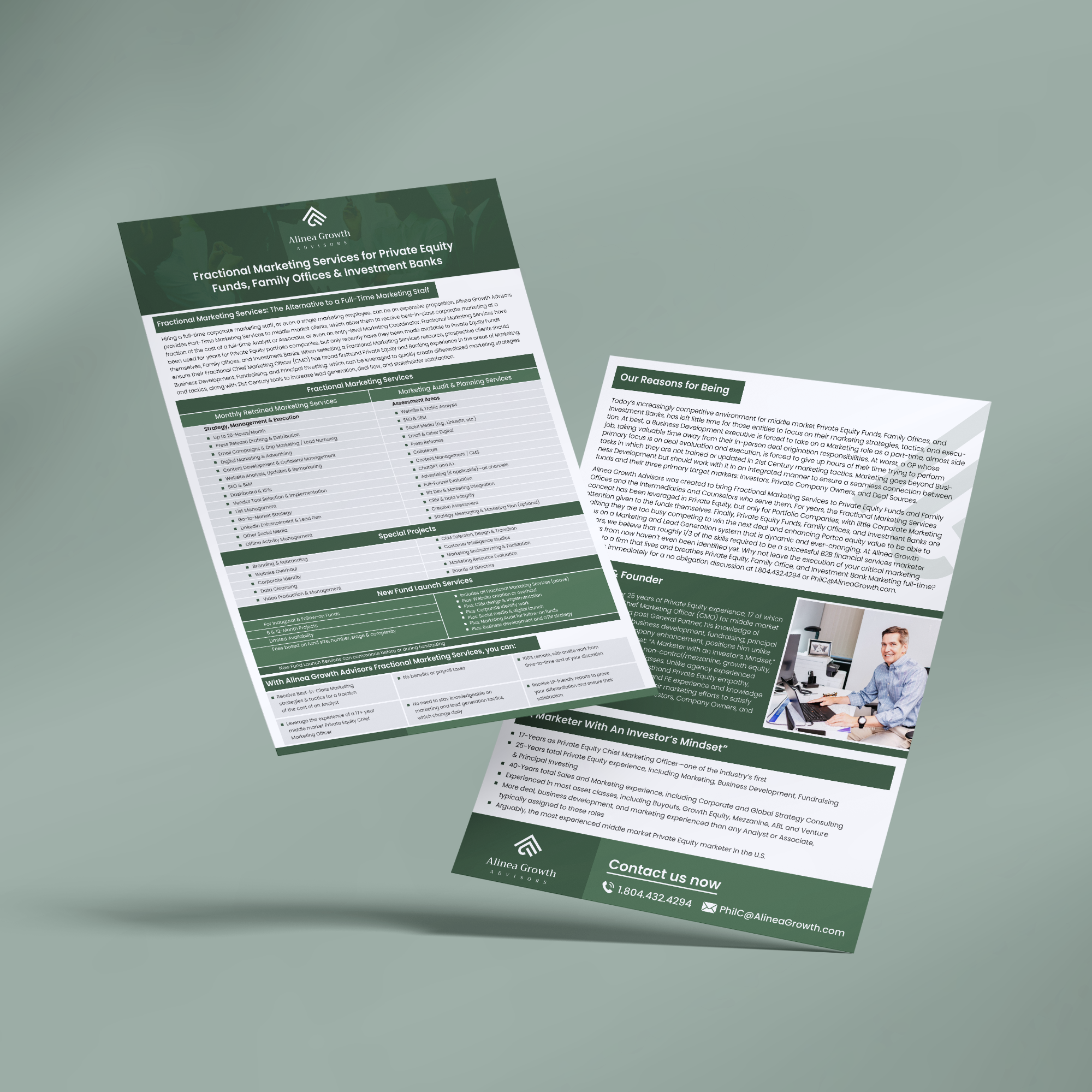 Flyer Design by Maxo-Biz for Alinea Growth, LLC | Design #31436491