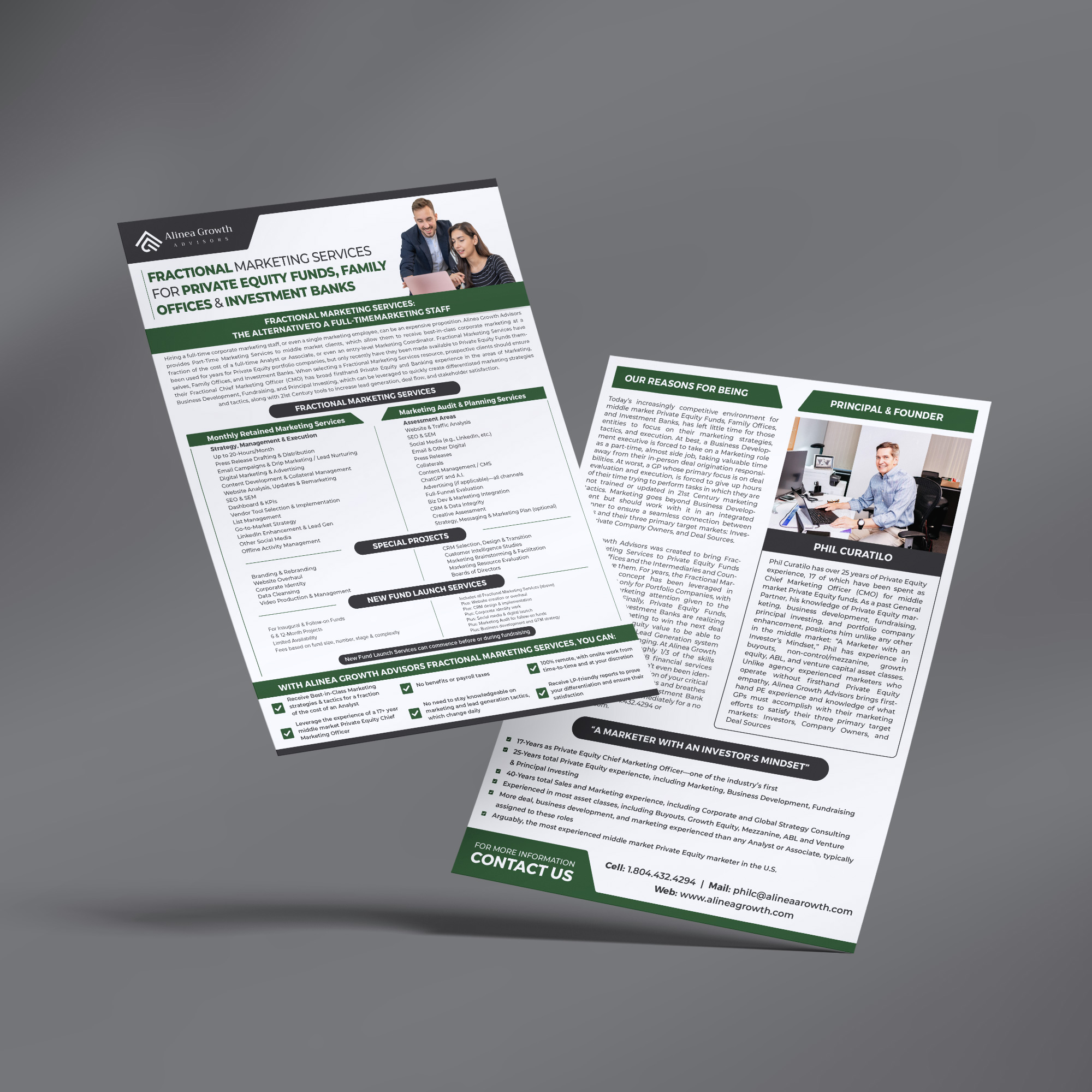 Flyer Design by Maxo-Biz for Alinea Growth, LLC | Design #31474577