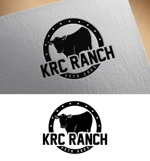 Diseño de Logo por fly  design para este proyecto | Diseño: #31444905