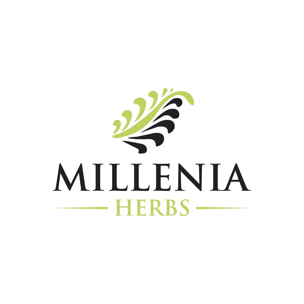 Logo Design by Deer Studio for this project | Design #31441108