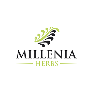 Logo Design by Deer Studio