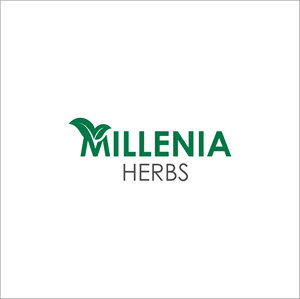 Logo Design by B4LYA