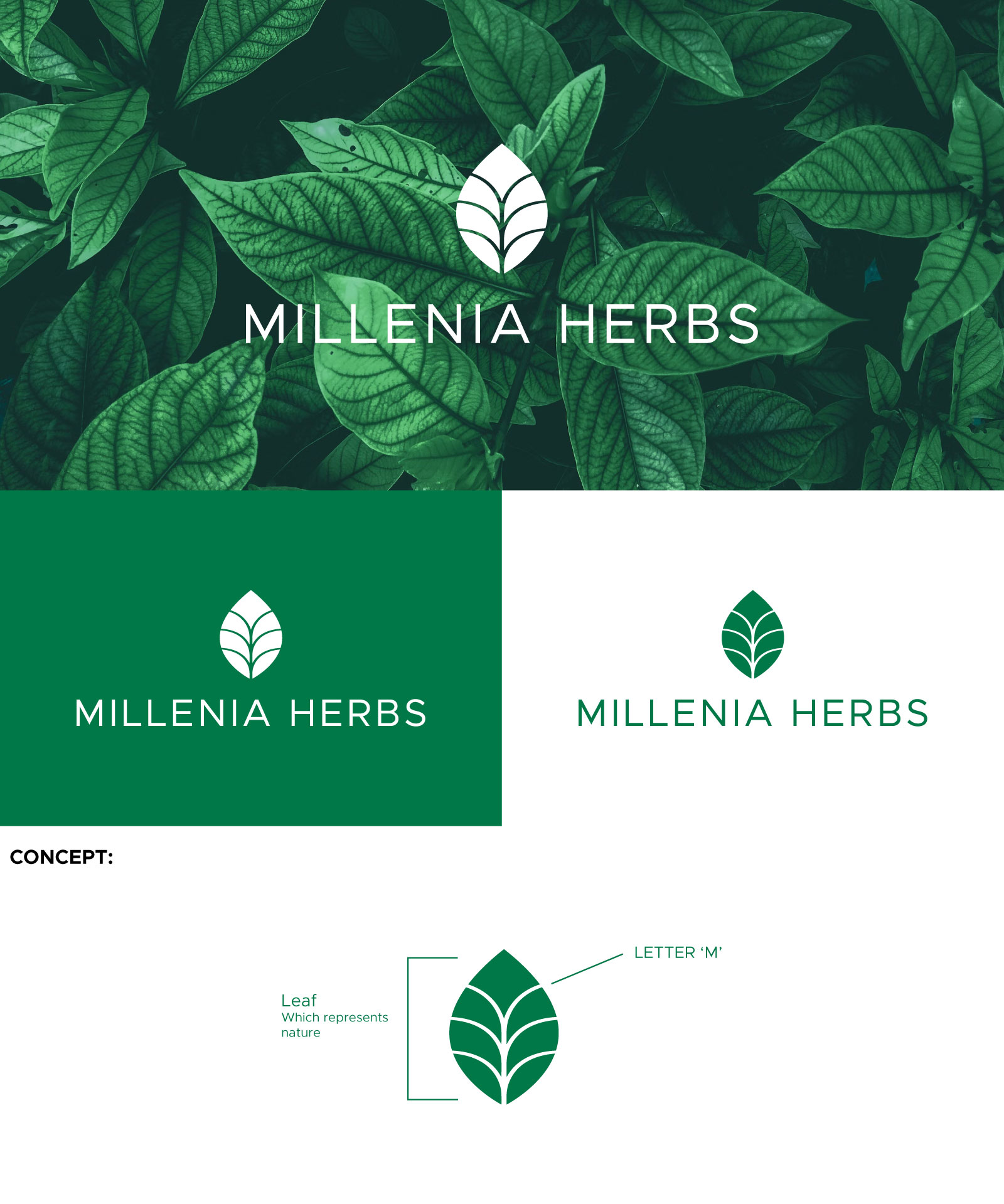 Logo Design by Sbranding for this project | Design #31476149