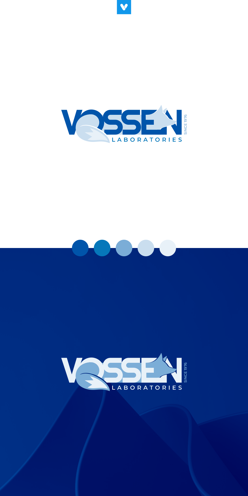 Logo Design by ViniRatieri for this project | Design #31438501