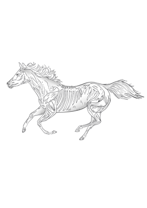 Tattoo Design by Omelas for this project | Design: #31440124