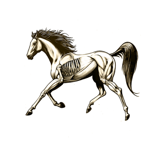 Tattoo Design by ioio for this project | Design: #31443349