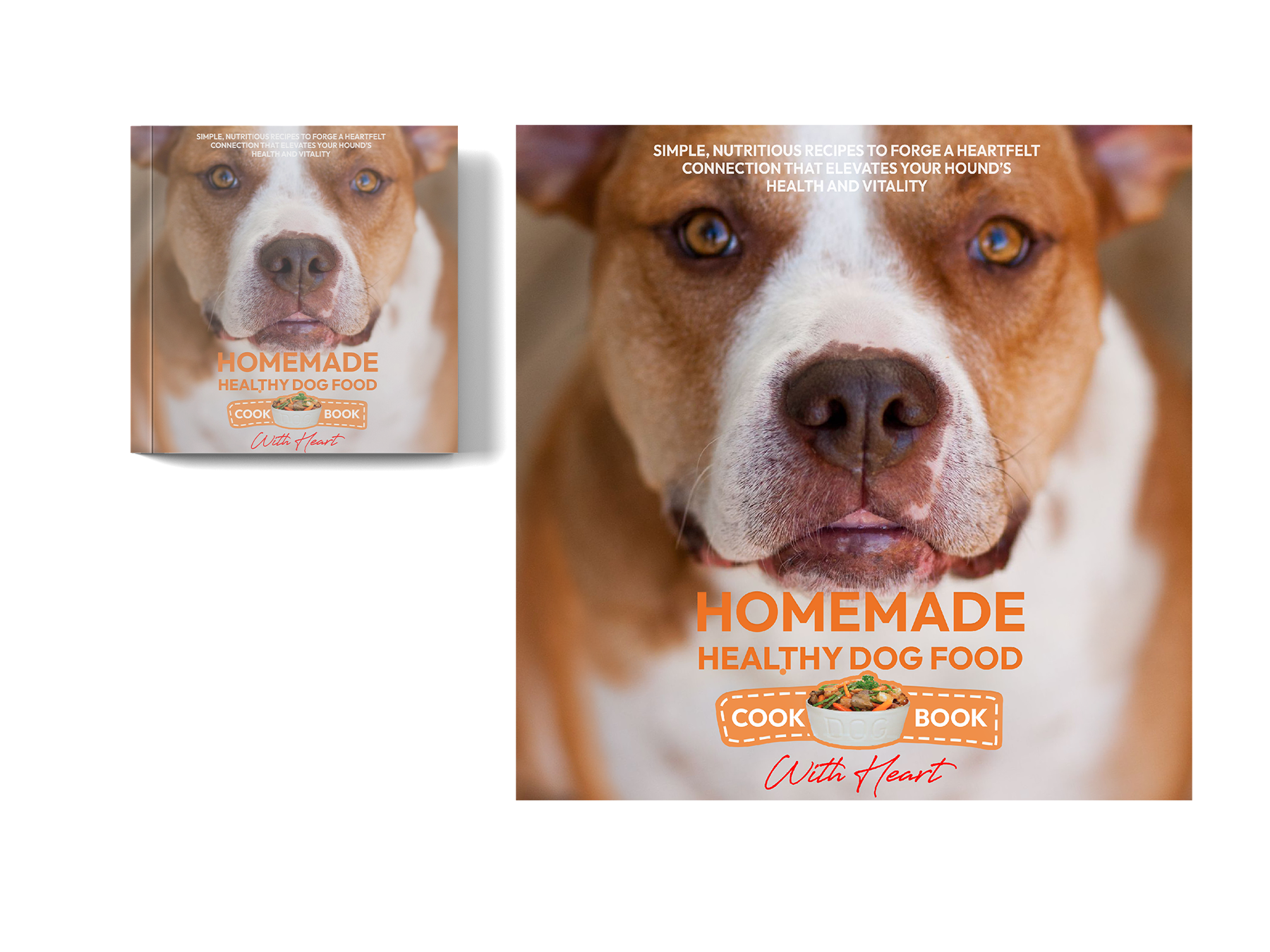 Book Cover Design by Azmat for this project | Design #31499174