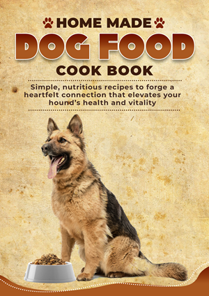 Book Cover Design by khizar_911
