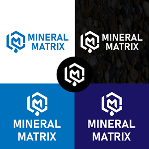 Logo Design by Harry Creative