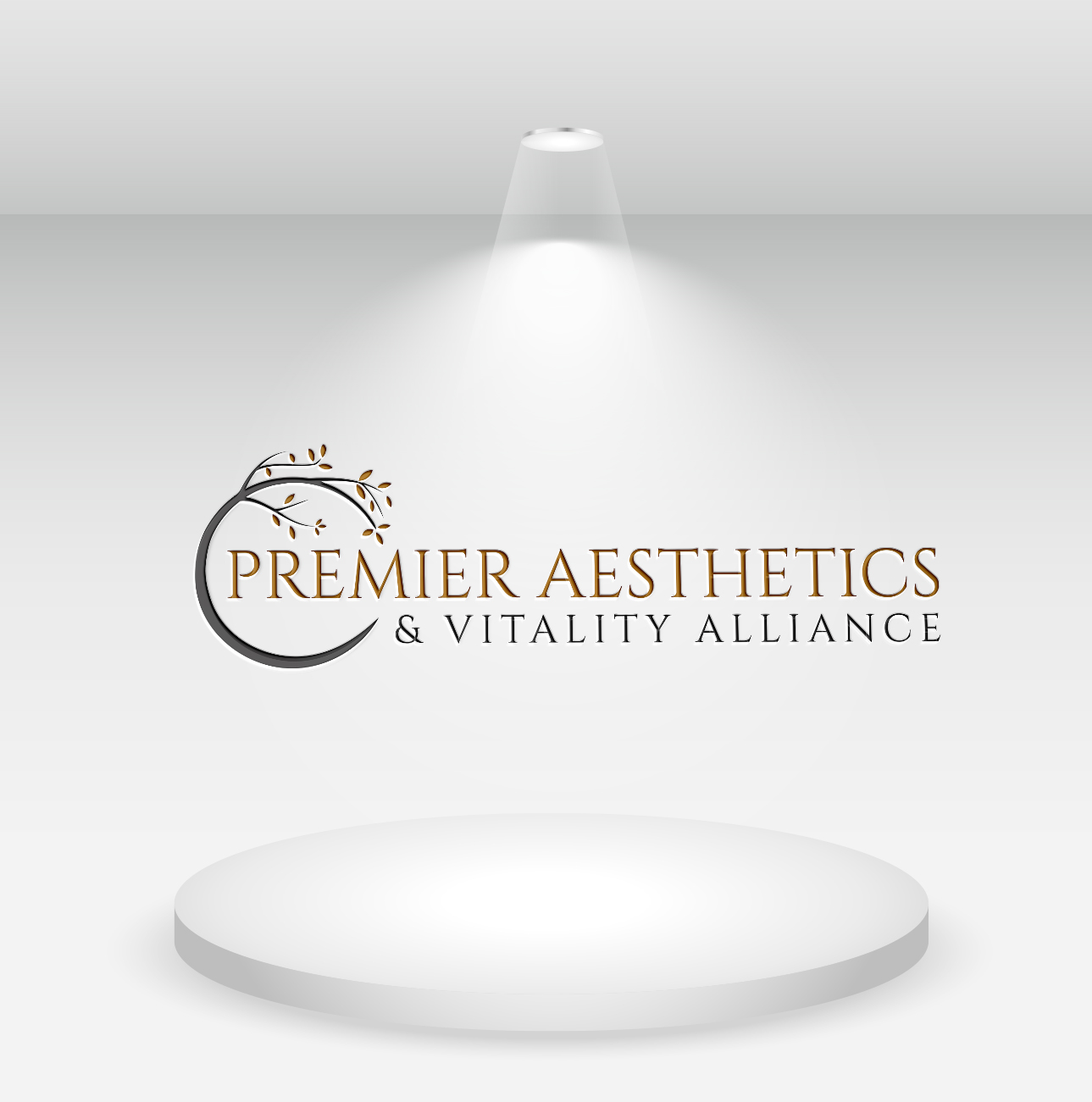 Diseño de Logo por DesignVerse777 para este proyecto | Diseño #31476303