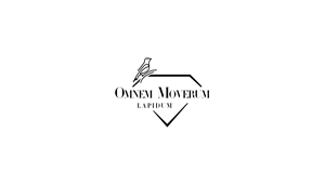 Logo Design by VectorForge