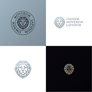 Diseño de Logo por anonrotide para este proyecto | Diseño #31512597