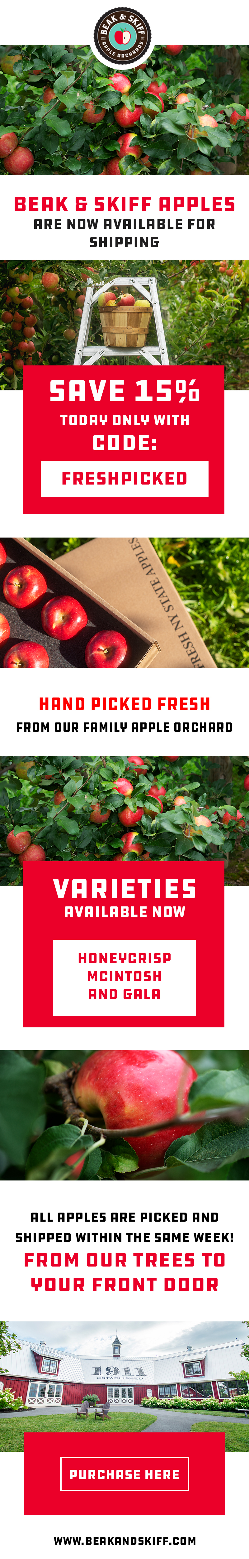 Web Design by Creations Box 2015 for this project | Design #31467179