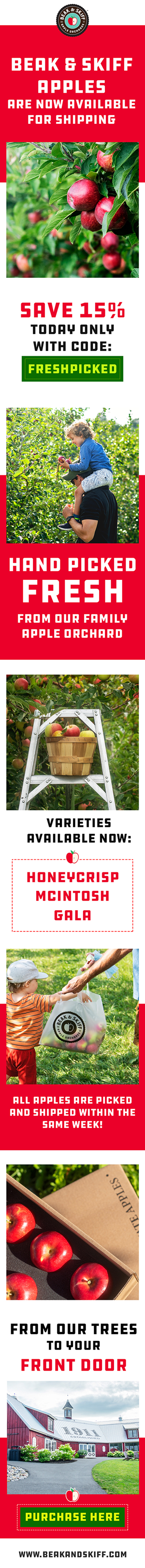 Web Design by Creations Box 2015 for this project | Design: #31467208