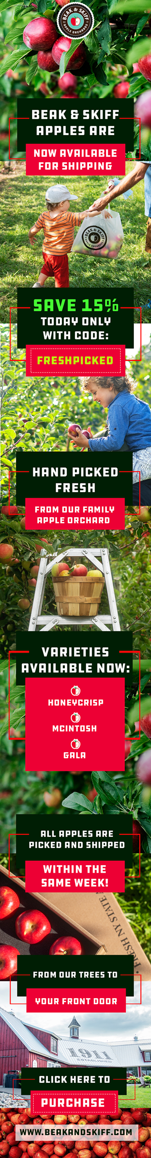 Web Design by Creations Box 2015 for this project | Design: #31467209