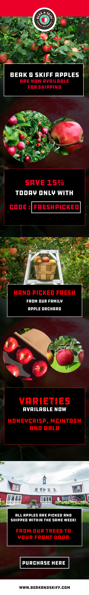 Web Design by Creations Box 2015 for this project | Design: #31467662