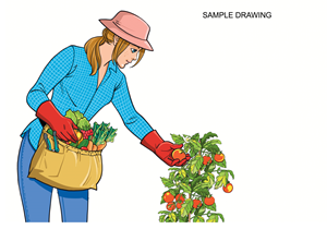 Illustration Design by KwinArts for Jamint, LLC | Design: #31566011