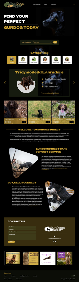 Web Design by TOPDEVIT